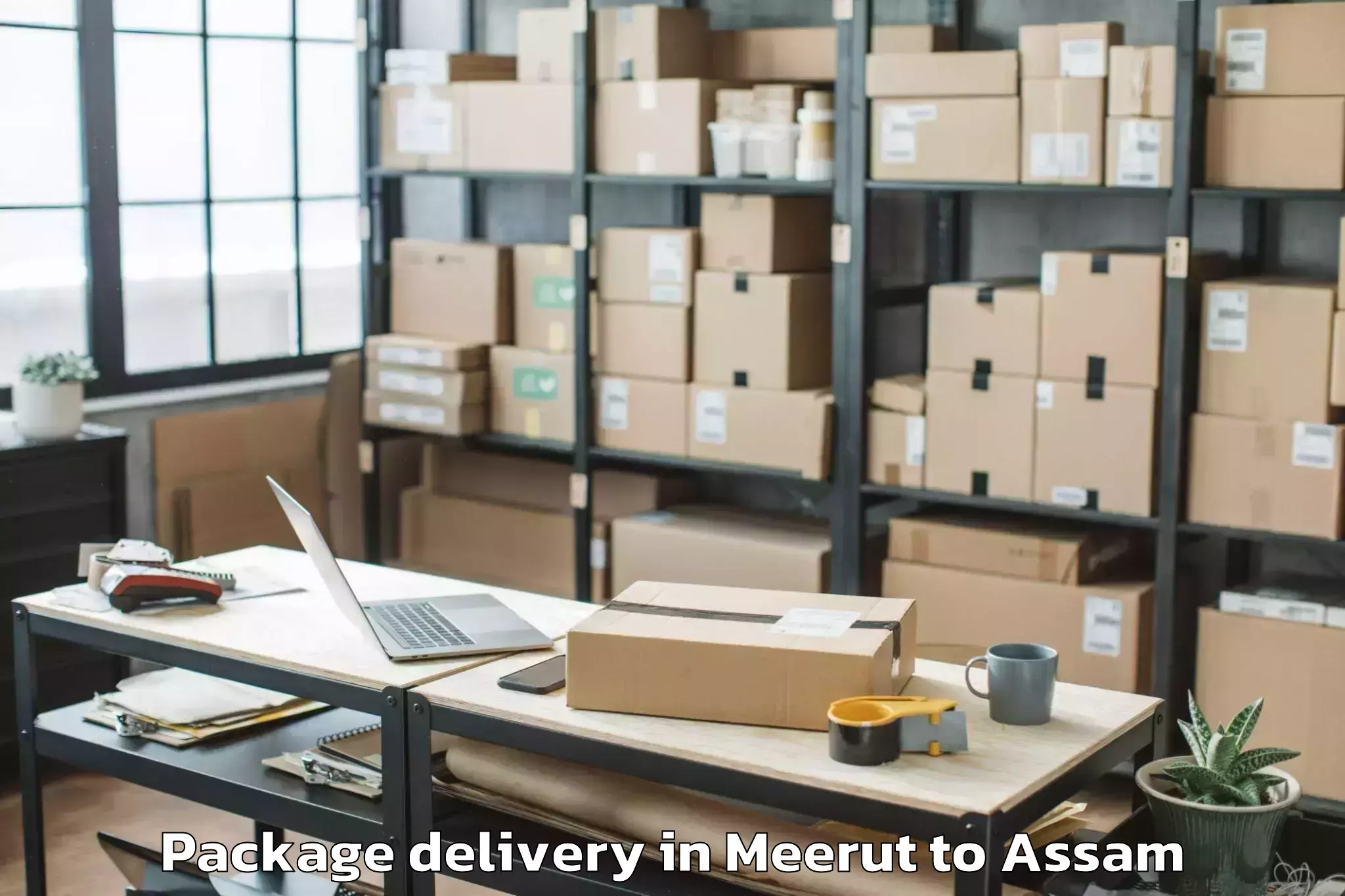 Professional Meerut to Jamugurihat Package Delivery